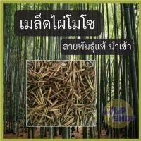 ราคา เมล็ดพันธุ์ ไผ่ ไผ่โมโซ เมล็ดไผ่โมโซ สายพันธุ์แท้นำเข้า พร้อมวิธีเพาะในซอง เมล็ดไผ่ Phyllostachys edulis Moso Bamboo (14823499062)