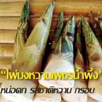 ราคา ไผ่บงหวานเพชรน้ำผึ้ง ไผ่ทานดิบได้ หวาน กรอบคล้ายยอดมะพร้าว ต้นพันธุ์ขุดเหง้าแข็งแรงพร้อมปลูก ปลูก 6 เดือนได้ทานหน่อ (23954364618)