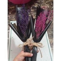 ราคา ช่อดอกแคสเปียย้อมสี ช่อดอกไม้แห้ง (5016279170)