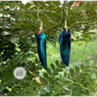 ราคา ต่างหูปีกแมลงทับสีเขียว (7897697392)