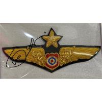 ราคา ปีกนักบินการบินพลเรือน ปีกพลเรือน ปีกดิ้นทอง ชั้น 2 (44103810352)