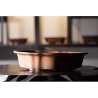 ราคา บอนไซ - กระถางดินเผานำเข้า A1 (26240131315)