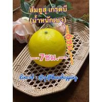 ราคา ส้มยูสุปลอม โมดลส้มยูสุ เกรดบี โมเดลผลไม้ ผลไม้ปลอม (24732342350)