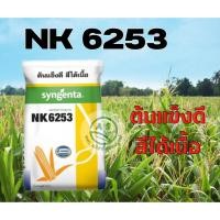 ราคา ข้าวโพดเลี้ยงสัตว์ เมล็ดพันธุ์ข้าวโพด NK6253 ยืนต้นดี สีได้เนื้อ เบอร์ 2หุน / 2.5หุน /3หุน ทนแล้ง ราคาถูกและดี (12288835208)
