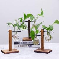 ราคา กระถางไฮโดรโปรนิคส์ กระถางต้นไม้ ตกแต่งคอนโด แจกันดอกไม้ พร้อมส่ง (7552765869)