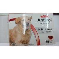 ราคา บำรุงข้อ (antinol) (1447691230)