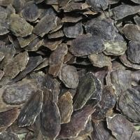 ราคา เมล็ดพะยูงไหหลำ จำนวน 100 เมล็ด (2156845169)