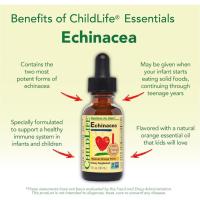 ราคา Childlife, Essentials, Echinacea, Natural Orange Flavor, 1 fl oz (30 ml) (1043726498)