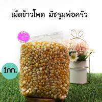 ราคา เมล็ดข้าวโพดมัชรูม (MUSHROOM),(ผีเสื้อ)เมล็ดข้าวโพดป๊อปคอร์น ตราcorona(โคโรน่า )หรือ พ่อครัวแบ่ง ขาย 1 กก. (11072882434)