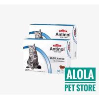 ราคา ส่งฟรี อาหารเสริมบำรุงข้อ และลดอักเสบ EXP 04/2024 สำหรับแมว 60 แคปซูล แอนตินอล แมว (2983351308)