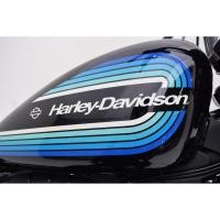 ราคา สติ๊กเกอร์รูปลอก Harley-Davidson XL1200NS 2 ชิ้น - Sportster Iron 1200 คุณภาพสูง (43708496510)