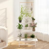 ราคา ชั้นวางต้นไม้กลางแจ้ง ชั้นวางต้นไม้ 3ชั้น วางกระบองเพชร (28468261355)