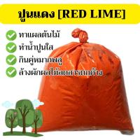 ราคา [100กรัม] ปูนแดง ปูนแดงทำน้ำปูนใส ปูนกินหมาก ทำขนม ทากิ่งไม้ ปูนแดงสารพัดประโยชน์ 100 กรัม (21488242425)