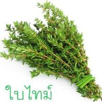 ราคา ใบไทม์ถูกที่สุด10บ.เมล็ดพันธุ์ใบไทม์ 50 เมล็ดงอกง่าย ☘️โตไวสมุนไพรฝรั่งปรุงอาหารอร่อย (3020872392)