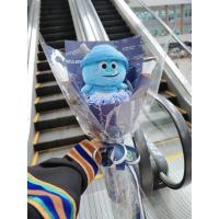 ราคา ช่อดอกไม้ตุ๊กตาซัลลี่ (21669613487)