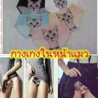 ราคา กางเกงในหน้าแมวเป็นงานไร้ขอบ (259138666)