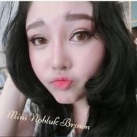ราคา Mini nobluk brown dream (383529)