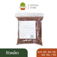 ราคา เมล็ดโต้วเหมี่ยว ถั่วลันเตา pea seed เมล็ดเพาะงอก เมล็ดไมโครกรีน โต้วเหมี่ยว ต้นอ่อน เพาะงอก (2604185415)