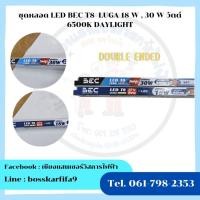 ราคา ชุดหลอด LED BEC T8 LUGA 18 W , 30 W วัตต์6500K DAYLIGHT (41111152328)