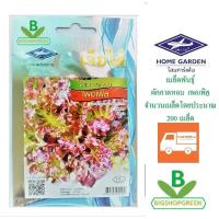 ราคา 5 ฟรี 1 คละได้ เมล็ดพันธุ์ ผักกาดหอม เพอเพิล เจียไต๋ เมล็ดผัก เมล็ดพันธุ์พืช เมล็ดพันธุ์ผัก (3809194051)