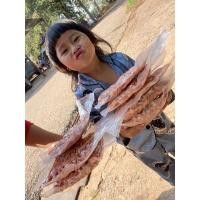 ราคา กุ้งแห้ง แกะเปลือก คัดเกรดงานดีไซส์ใหญ่ (17070672487)