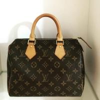ราคา Louis Vuitton speedy 25 (1619425125)