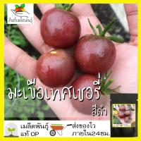 ราคา เมล็ดพันธุ์ มะเขือเทศ เชอรี่สีดำ 20 เมล็ด Black Cherry Tomato seeds เมล็ดพันธุ์แท้ นำเข้าจากต่างประเทศ มะเขือเทศเชอรี่ (10837329041)