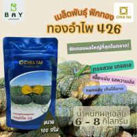 ราคา เมล็ดพันธุ์เจียไต๋ พันธุ์ฟักทอง ทองอำไพ 426 (4171311246)