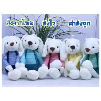ราคา ขายส่ง ตุ๊กตากระต่าย กระต่ายเน่า หมีเน่า ตุ๊กตาสำหรับเด็กเล็ก พร้อมส่ง (8483271290)