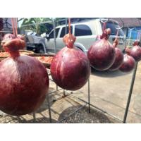 ราคา หม่ำพก (แพ็ค 2 ชิ้น )หม่ำเนื้อวัว หม่ำเนื้อล้วน %#หม่ำชัยภูมิ (43261633615)