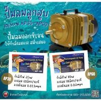 ราคา Resun ปั๊มลมลูกสูบ AP30-AP60 (18764109175)