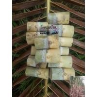 ราคา อ้อยคั้นน้ำสุพรรณบุรี50 พร้อมปลูก (100 ตา ราคา 127 บาท) (23149705104)