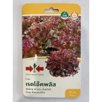 ราคา เรดโอ๊คพลัส ศรแดง เมล็ดพันธ์ุผักสลัด ชื่อพันธ์ุ เรดโอ๊คพลัส เมล็ดพันธ์ุคุณภาพตราศรแดง บรรจุในซองควบคุมคุณภาพอย่างดี (6453335399)