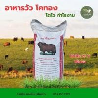 ราคา อาหารวัว (แบ่งขาย20กก) โปรตีน21% ,16% ชนิดผง ระยะอุ้มท้องให้นม (42211388228)
