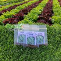 ราคา เมล็ดพันธุ์ผักสลัด ร็อคเก็ต Rocket บรรจุซอง 200-300 เมล็ด (15332172111)