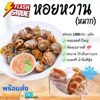 ราคา หอยหวาน(หมาก) บรรจุ 1KG./แพ็ค [พร้อมส่ง] (22353940870)