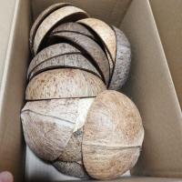 ราคา กะลามะพร้าว (ไซส์ใหญ่ เส้นผ่าศูนย์กลาง 4.9 นิ้ว - 5.4 นิ้ว) ขัด ตัดแต่ง ทำงานตามออเดอร์ ทำงานตามสั่ง (28752165311)