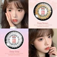 ราคา บิ๊กอาย คอนแทคเลนส์ รุ่น Super King gray/ brown ฝาแดง ยี่ห้อ Pitchy lens (24735202833)