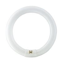 ราคา หลอดไฟนีออนกลม สีเดย์ไลท์ กำลัง 32 วัตต์ PHILIPS รุ่น TLE32/54 (19172676492)
