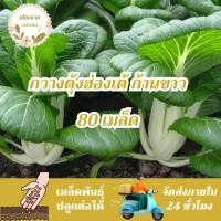 ราคา เมล็ดพันธุ์ กวางตุ้งฮ่องเต้ก้านขาว 80 เมล็ด Canton Pak Choi Seed เมล็ดพันธุ์แท้100% นำเข้าจากต่างประเทศ กวางตุ้ง ถูกดี (28852324266)