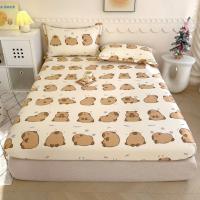 ราคา ชุดเครื่องนอน 3 ชิ้น Combo 1m2x2m/ 1m6x2m/ 1m8x2m/ 2mx2m2 (40613508834)