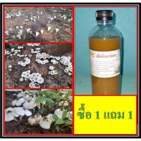 ราคา เชื้้อเห็ดโคนปลวก ซื้อ 1 แถม 1 ขวดขนาด 500 มล.เชื้อเห็ดโคนเข้มข้น (41208046780)
