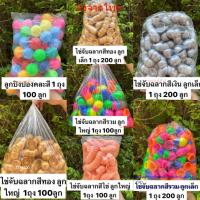 ราคา ไข่จับฉลาก ไข่ปลอม ไข่จับรางวัล ไข่หมุนจับรางวัล ลูกปิงปองโหล ไข่กาชาปอง มีหลายแบบให้เลือก (43752380338)