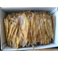 ราคา y ปลาช่อนทะเลตากแห้ง1กิโลกรัม ปลาช่อนแห้ง ปลาแห้ง ปลาช่อนบางกลาง500กรัม ของฝาก ปลาช่อนทะเล200กรัม (42506491198)