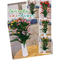 ราคา ไผ่กวนอิมแต่งกลีบดอก ไผ่กวนอิมเขียว ไผ่กวนอิม (16259098362)