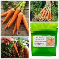 ราคา เมล็ดพันธุ์ แครอทจิ๋ว แครอทเบบี้ บรรจุ 1000 เมล็ด ของแท้จ้า (27424548687)