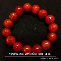 ราคา Yok5see สร้อยข้อมือ หิน คาร์เนเลี่ยน 16-20 มม สร้อยข้อมือหิน กำไลข้อมือหิน สร้อยหิน กำไลหิน หินคาร์เนเลี่ยน Carnelian (22575715587)
