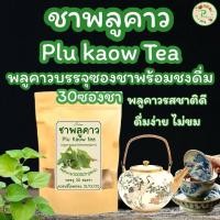 ราคา ชาพลูคาว บรรจุ 30 ซองชา Plus know tea พลูคาวปลูกแบบเกษตรอินทรีย์นำมาบดผงบรรจุซองชาชงดื่มรสชาติดีดื่มง่ายไม่ขม (21844648212)