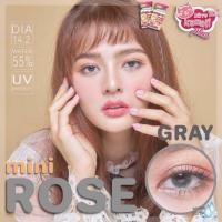 ราคา Kitty kawaii mini rose gray (14.2) (15830999217)