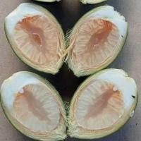 ราคา หมากสด ขายที่ไหน หมากสดราคาส่ง หมากสด ใกล้ฉัน (28801693332)